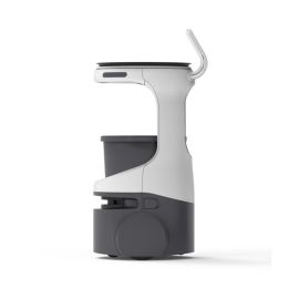 Bear Servi Mini Robot, Batterie