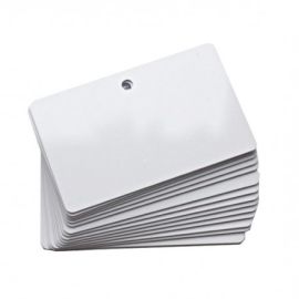 Cartes en plastique Evolis, 100 pcs.